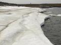 Припайный лёд на острове Ледяной.