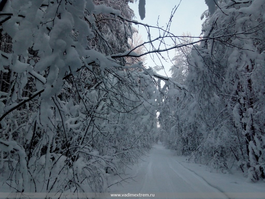 ������ � ����� ��������� ����.