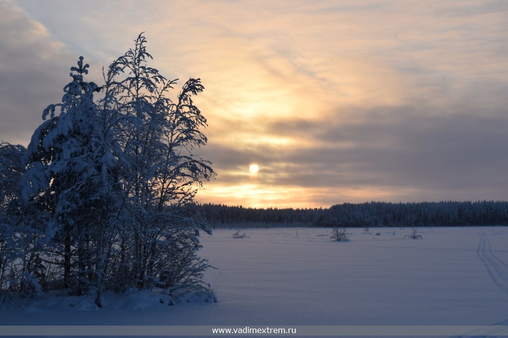 ������� �������� �� ����