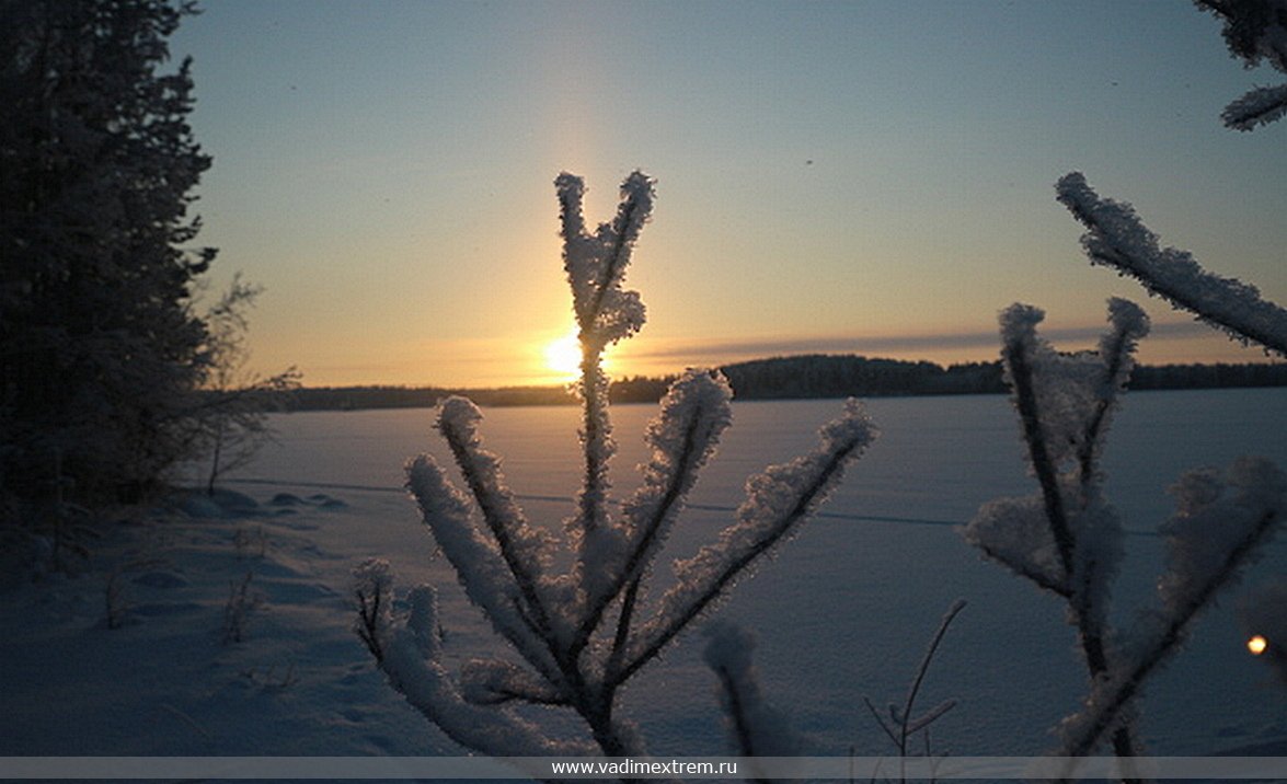 ������� ��������� ����