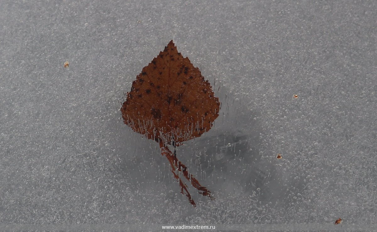 ������������ �����.