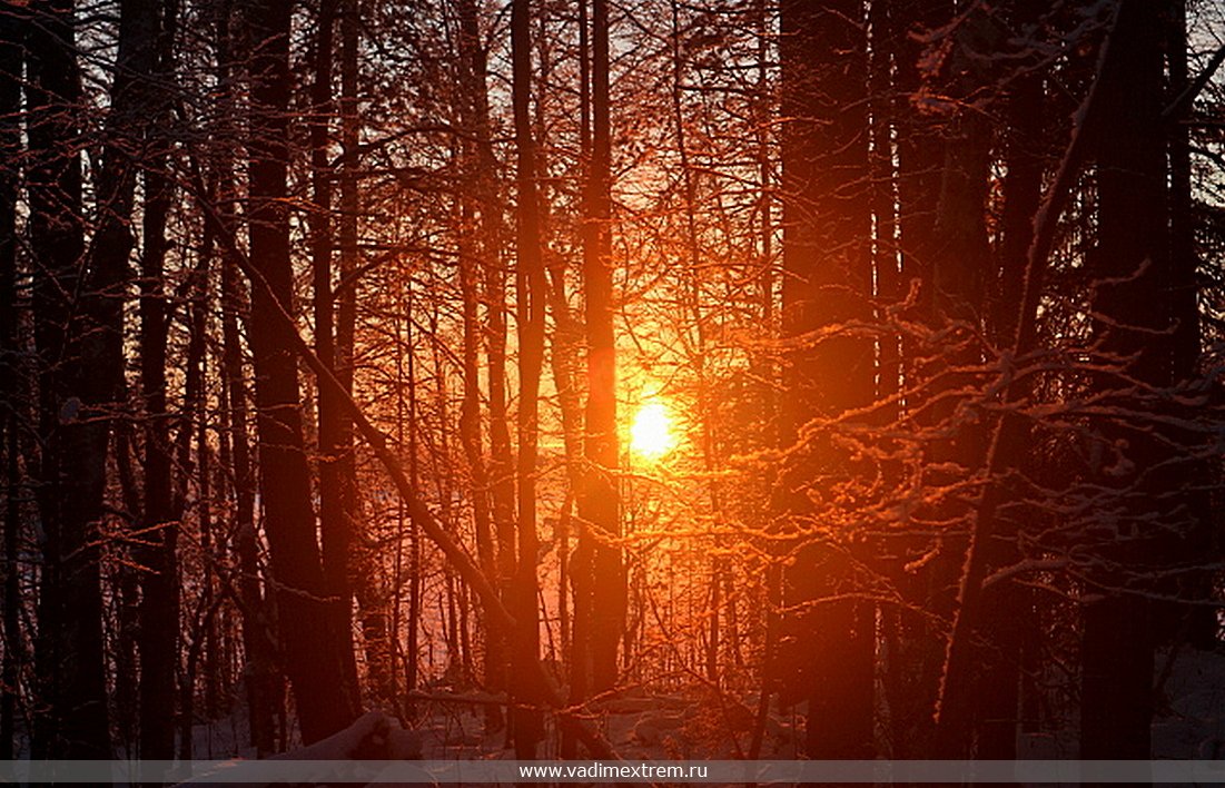 ��������� ���������