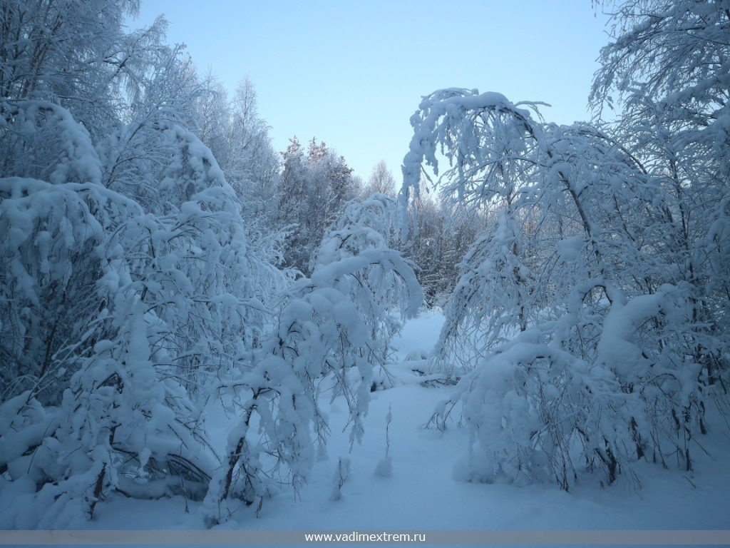 ������ ������� ����.