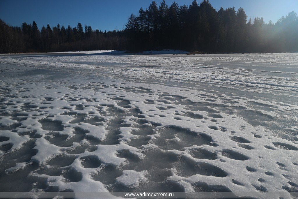 ������� ������ ���� �� ����