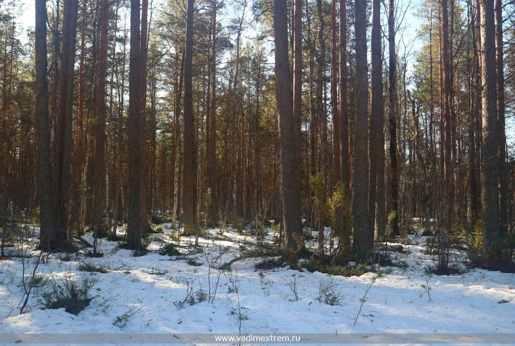 ����� ������.