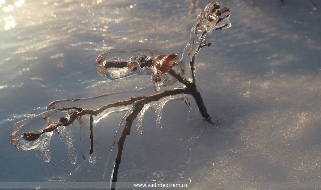 ����������� ����.