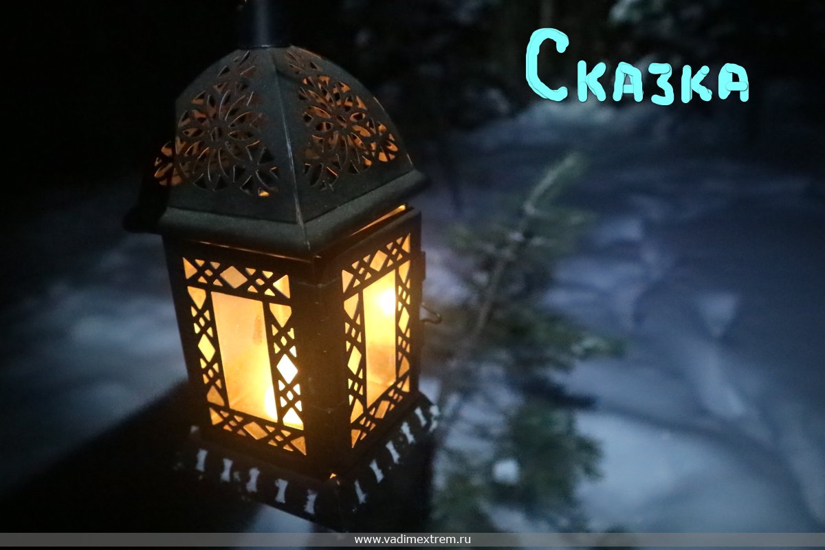 ������ ���� ���� ��������.