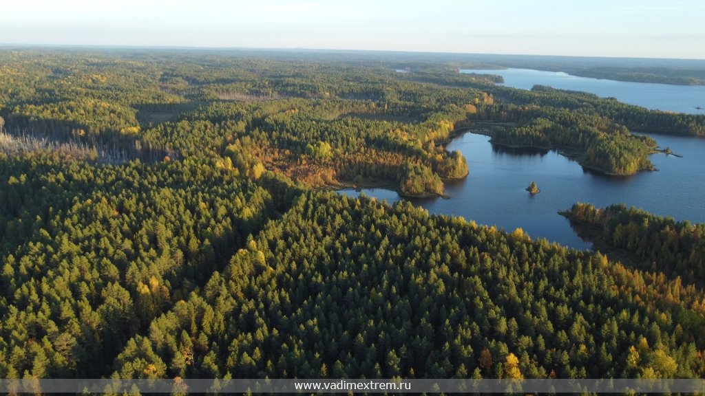 ������ ����